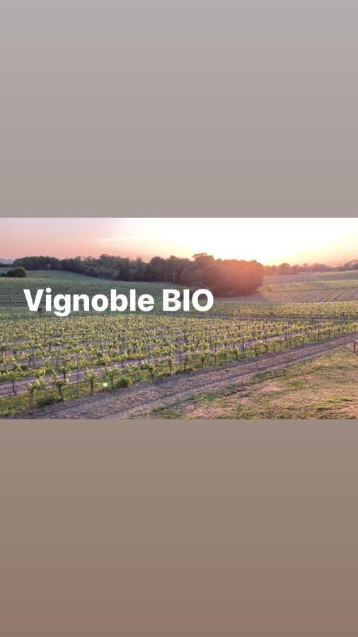 Gite Les Vignes Cravenceres 外观 照片